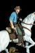 Arthur Morgan & Horse Diorama &ndash; RDR2 | Exclusive Hand-Painted Figure, Painted, L (36cm)
