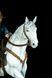 Arthur Morgan & Horse Diorama &ndash; RDR2 | Exclusive Hand-Painted Figure, Painted, L (36cm)