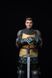 Henry of Skalitz Collectible Figure (Kingdom Come: Deliverance) &mdash; Premium Statue, Painted, S (22cm)
