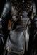Geralt of Rivia Collectible Statue &mdash; The Witcher, Painted, L (28cm)