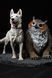 Baldur's Gate 3 Diorama: Scratch & Owlbear 3D Printed Figurine, Unpainted, Standart 14 * 20cm
