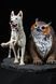 Baldur's Gate 3 Diorama: Scratch & Owlbear 3D Printed Figurine, Unpainted, Standart 14 * 20cm