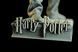 Harry Potter: Canonical Collectible Statue, Painted, S (20cm)
