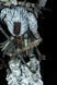 Monoco &mdash; Premium Expedition 33 Mystic Wanderer Figure, Painted, L (39cm)