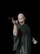 Lord Voldemort and Nagini - Collectible Figurine (32 cm) - Fan Art, Painted, S (20cm)
