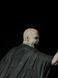 Lord Voldemort and Nagini - Collectible Figurine (32 cm) - Fan Art, Painted, S (20cm)