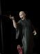 Lord Voldemort and Nagini - Collectible Figurine (32 cm) - Fan Art, Painted, S (20cm)