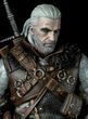 ⚔️ The Witcher